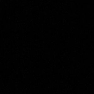 Meet your Posher, Carolina